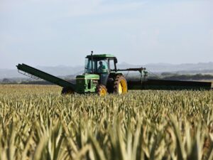 Czym charakteryzują się pasy klinowe Harvest Belts?