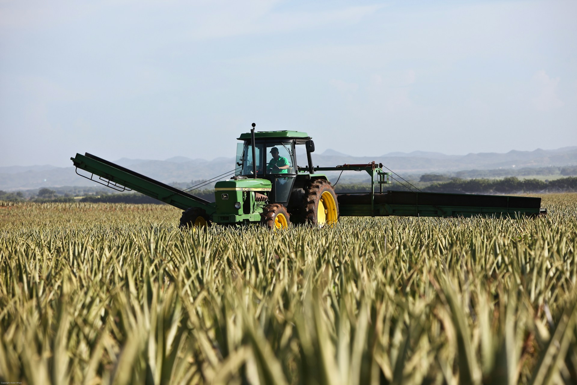Czym charakteryzują się pasy klinowe Harvest Belts?