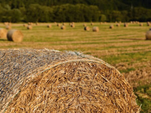 Czym jest siatka rolnicza w technologii Edge to Edge i dlaczego warto ją wybrać?
