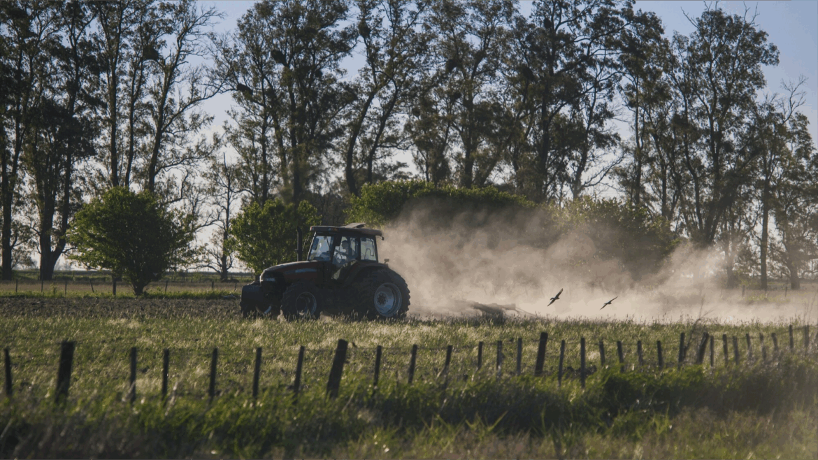 Ciągnik pracuje w polu